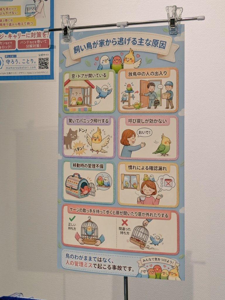 のっぽ tweet media