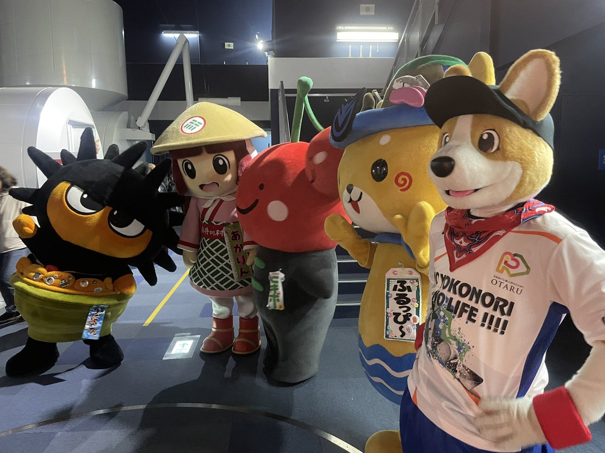 コギ坊 tweet media