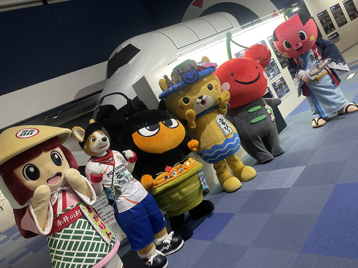 コギ坊 tweet media