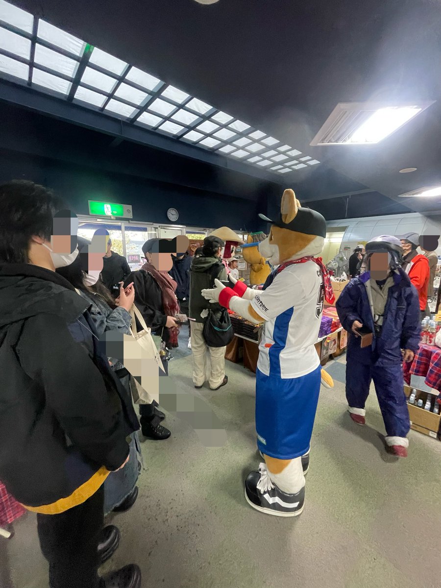 コギ坊 tweet media