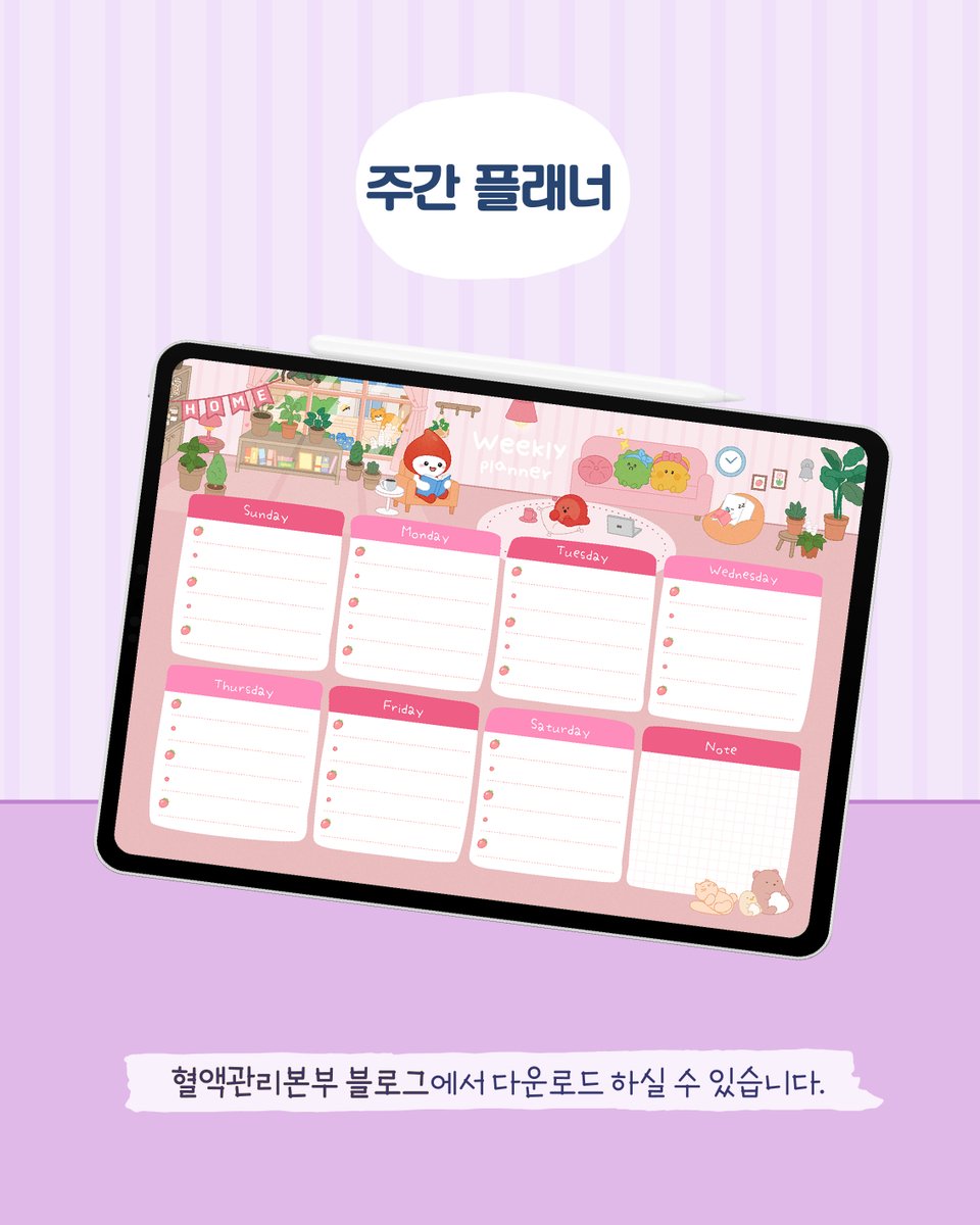 나눔이 tweet media