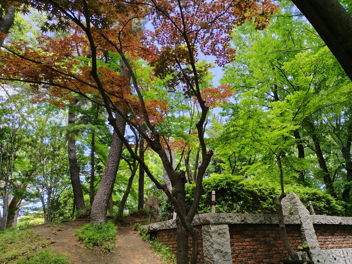 hide50993679269's tweet photo. 初夏のような気候の中、新緑の蚕糸の森公園までショートラン🏃家族連れ多数、絶好のレジャー日和✨
#週末ランナー　#週末ランニング　#ランニング　#朝ラン　#蚕糸の森公園　#杉並 https://t.co/PSIcG8CmS8
