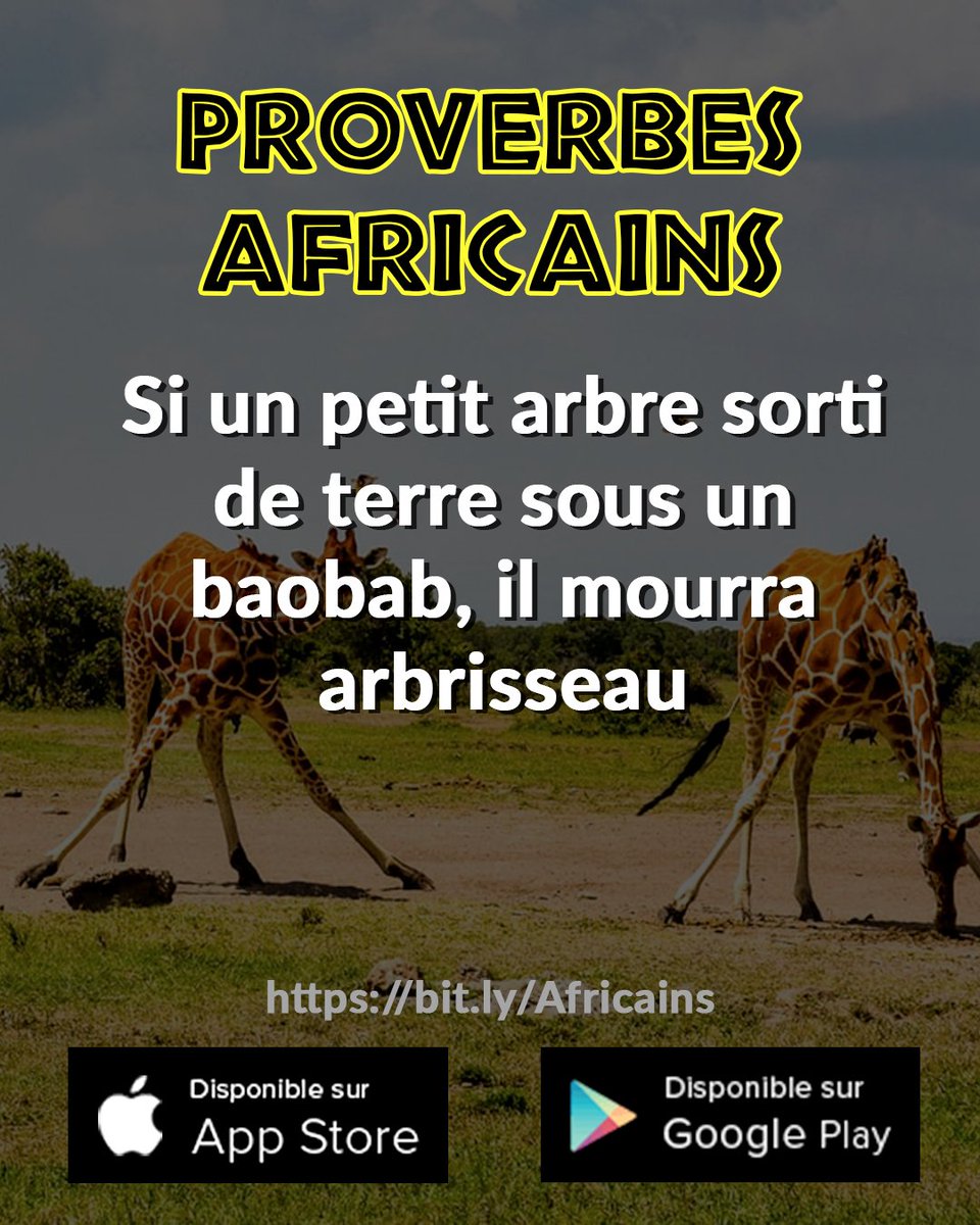 ProverbesAf's tweet photo. Plongeons dans la sagesse des proverbes africains 🌍✨ Chaque maxime est une perle de sagesse offerte par nos ancêtres, éclairant notre chemin vers la plénitude. Écoutons, méditons, grandissons. #SagesseAfricaine #Proverbes #DéveloppementPersonnel #Inspiration https://t.co/OXosLGzuJu