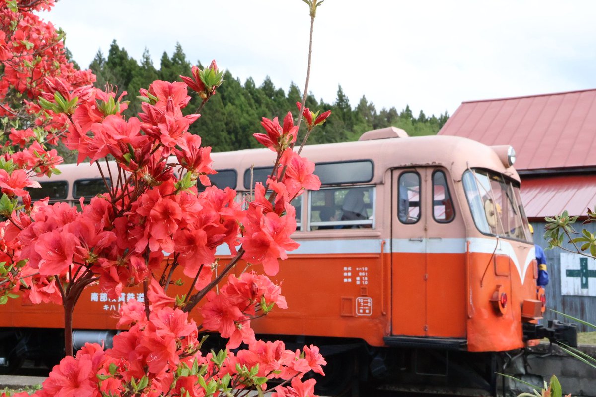 南部縦貫鉄道（の今年度の体験乗車会の）ラストラン。 車両や施設は