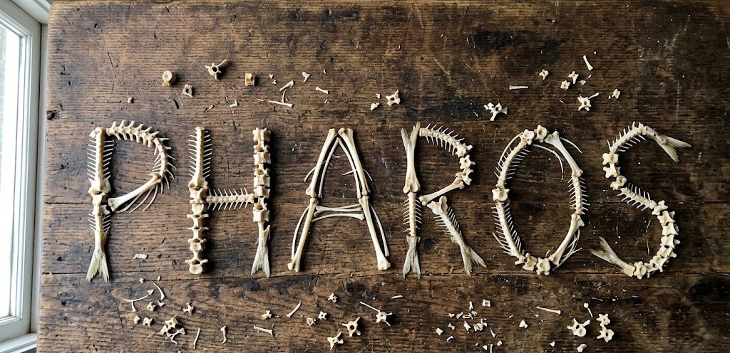 hanscryptos's tweet photo. @Kiwi_Nod what's up @Kiwi_Nod my pitch is unique and different,
this called preserved fishbone,
this typically take several days (2-4days depends on weather) to dried under the sunlight during the day,
this take a lot efforts, times and patience to make, https://t.co/NHq8fqF1nN