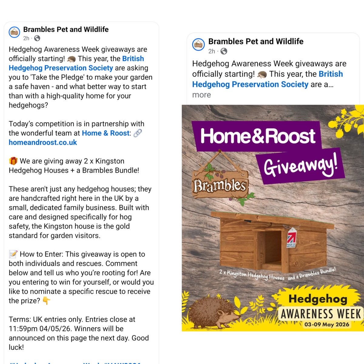 Help4hedgehogs tweet media