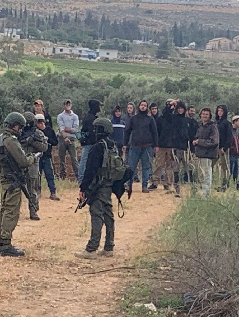 Eye on Palestine tweet media
