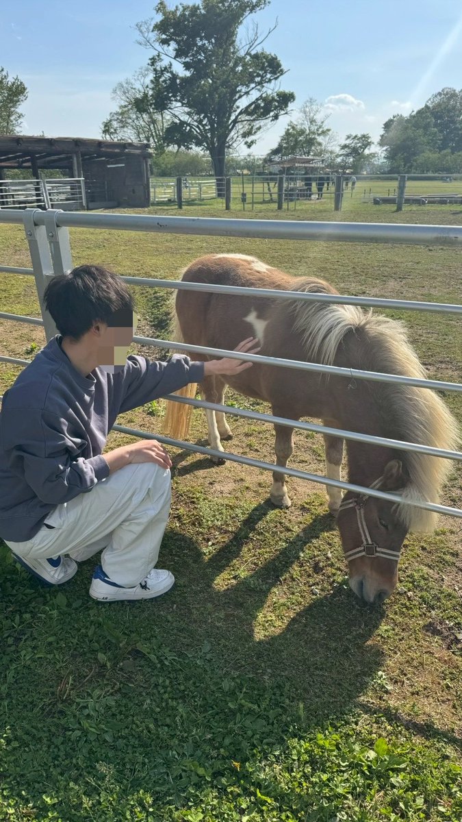 歌唱共通教材「まきばの朝」の発祥地、福島県『岩瀬牧場』に行ってきました。
ポニーに癒されてきました。