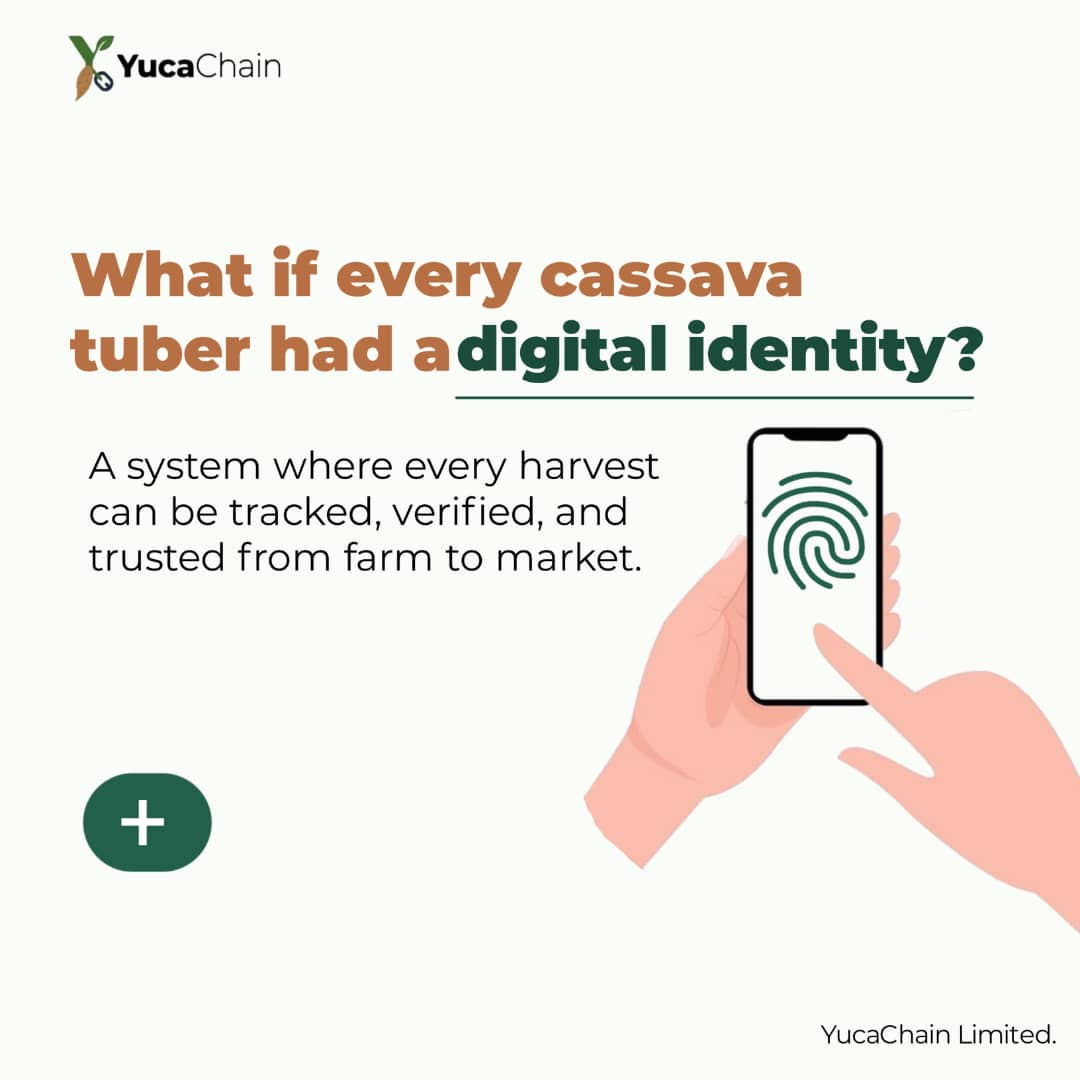 YucaChain Ltd. tweet media