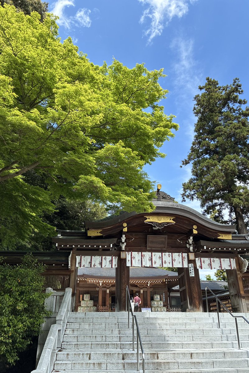 ka__zz's tweet photo. まさに皐月晴、気温は夏、日本の春は短いです。 https://t.co/sKlxebOf42