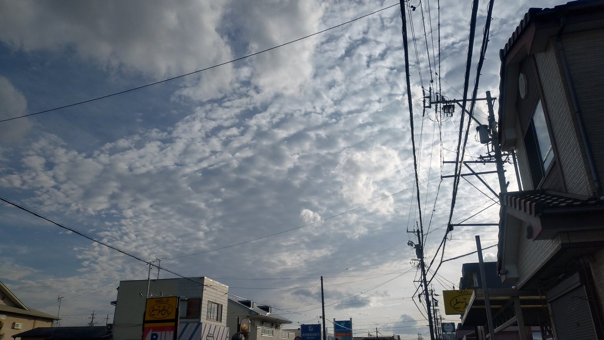 けんみん tweet media