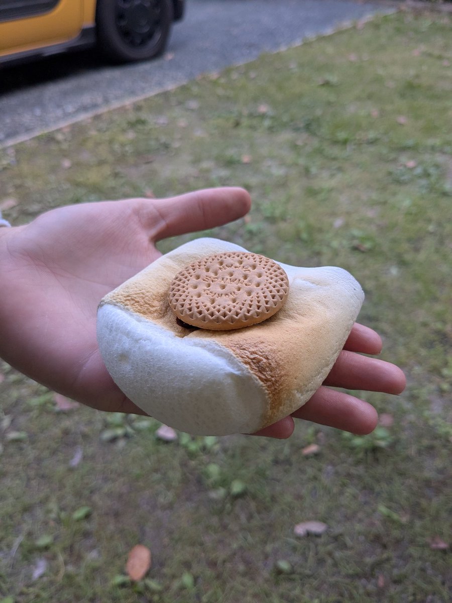 masako727's tweet photo. とても整備された施設でキャンプ中🏕️
なんちゃってネイチャーくらいがちょうど良い
きのうの雨で隣の川はゴーゴー流れてます https://t.co/AMly88vq0Q