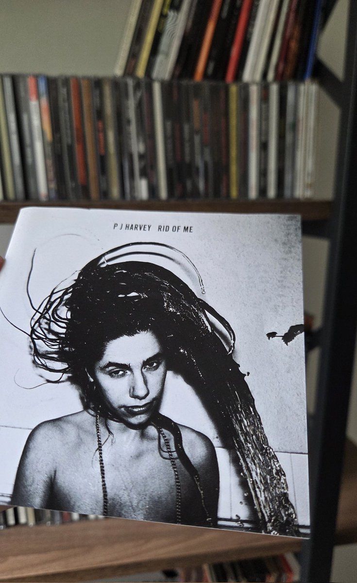 ActivistOfMusic's tweet photo. New Week. New Soundtrack. 🎧🎶
#PJHarvey #90sMusic #BestAlbums #Nowplaying #tunes https://t.co/0Ip8O7m9eA