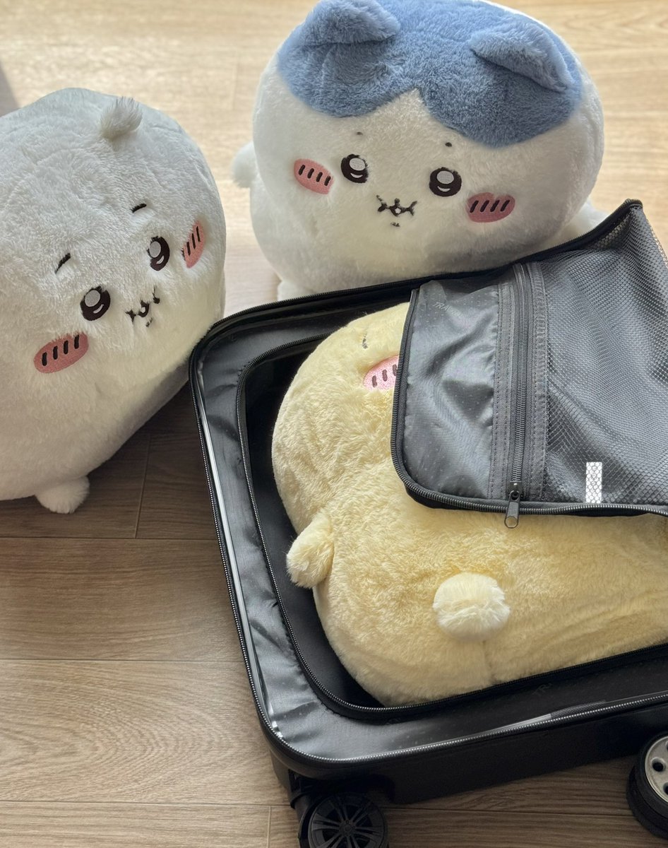 멜론곰 tweet media