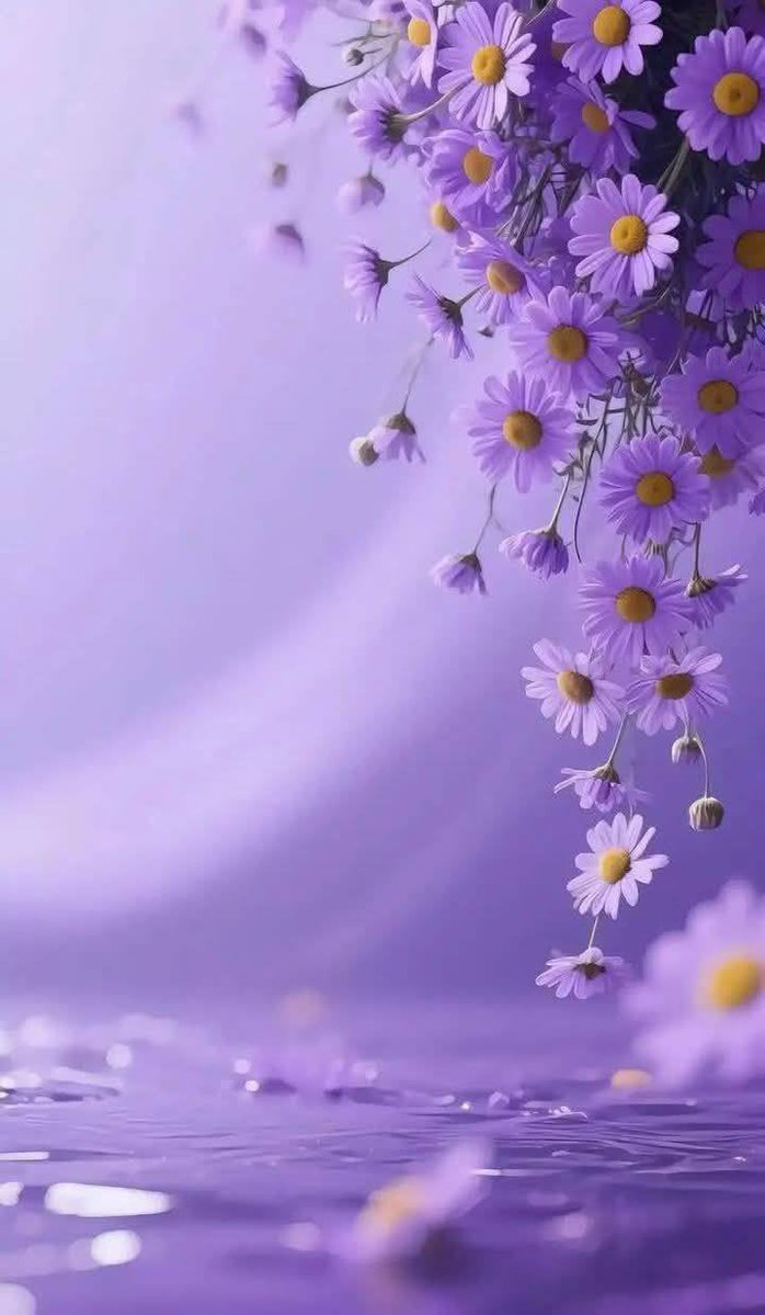 الـســراب🌹 tweet media