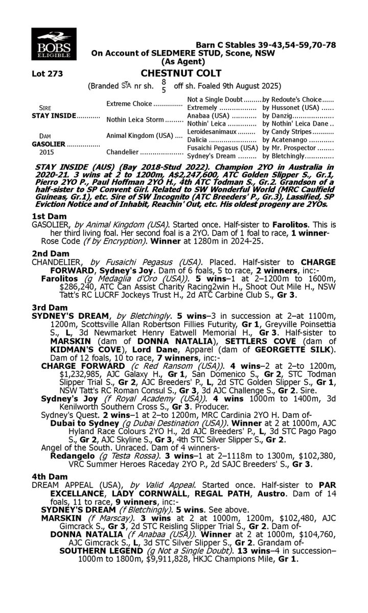 Sledmere Stud tweet media