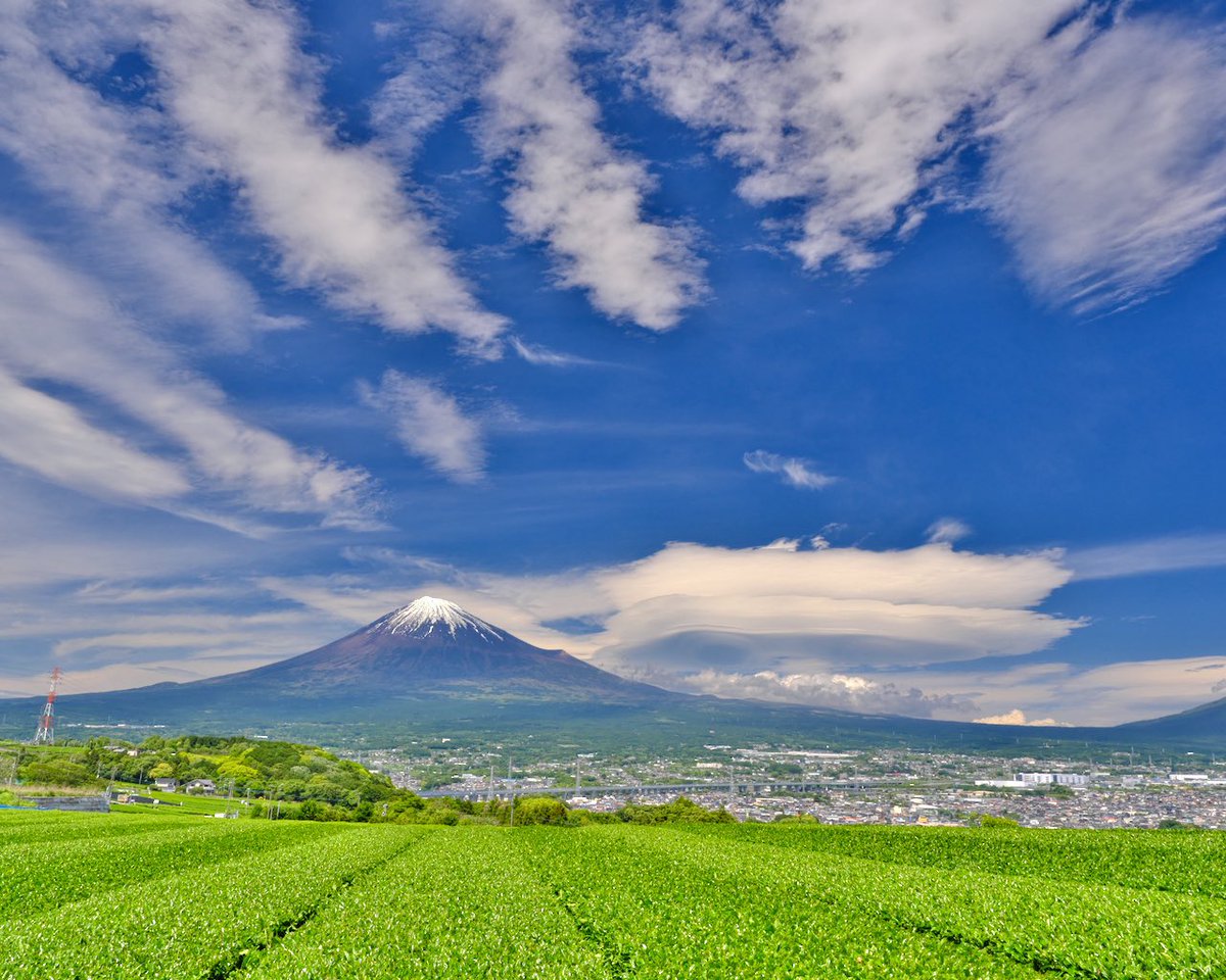Hiroshi Yamamoto tweet media