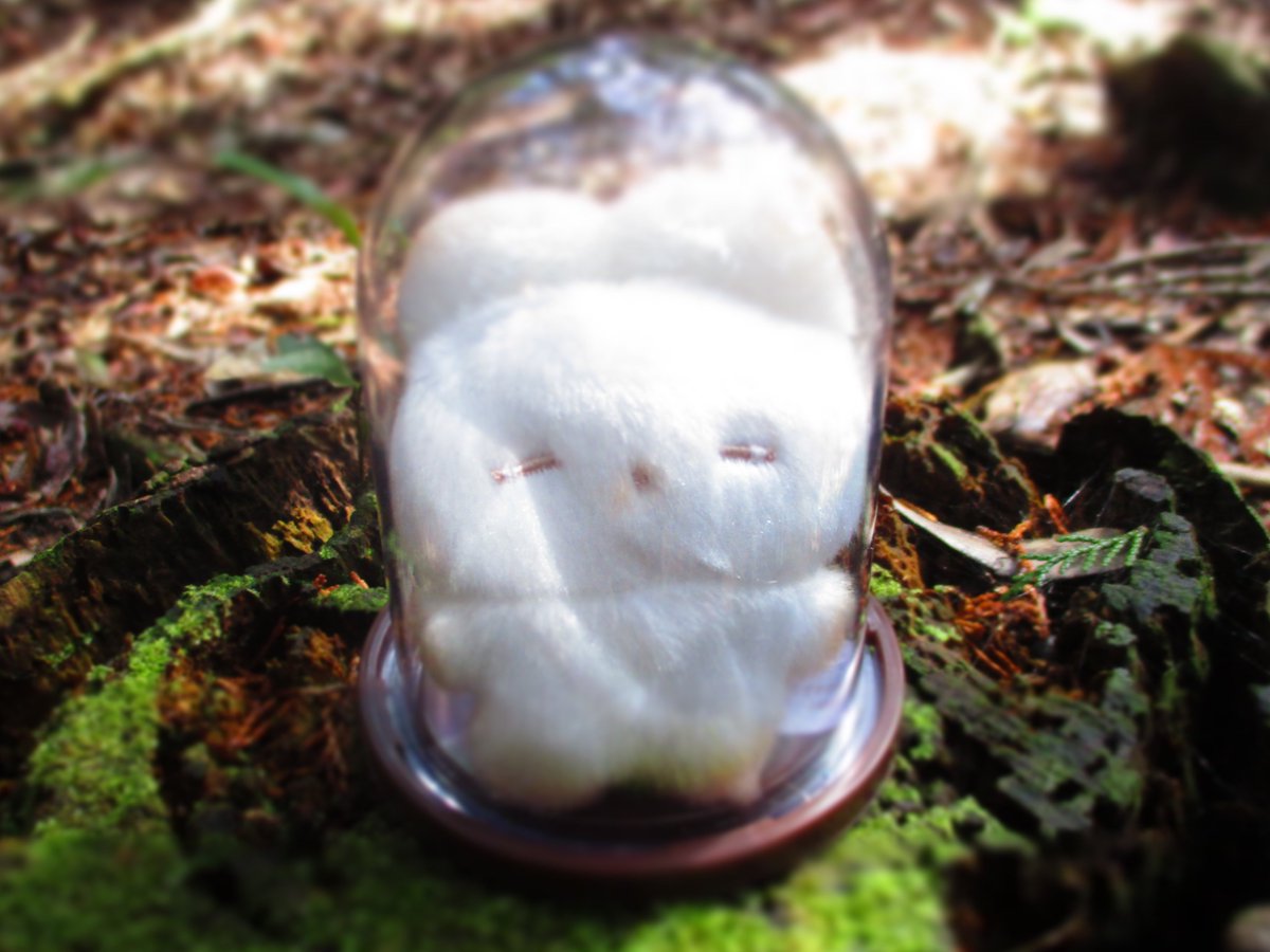 ponpon00000001's tweet photo. 「森の中のねむちゃんです。やっぱり眠たそう・・・」
#うさぎのねむちゃん https://t.co/fdr9w0gBpf