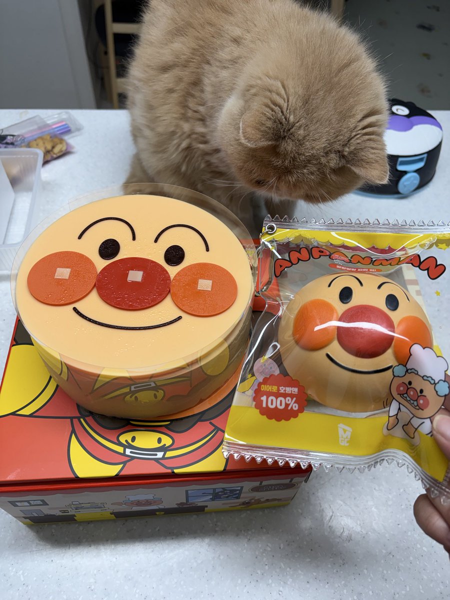 🧡meei💛KR🇰🇷 tweet media