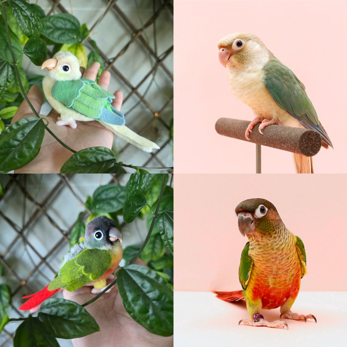 소소한 인형공방💕 tweet media