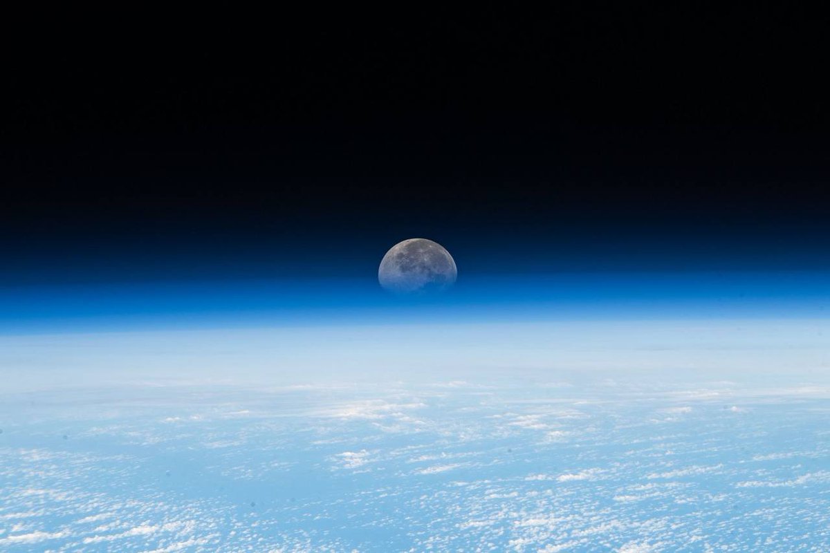 nexta_tv's tweet photo. 🌍 NASA has released more than 12,000 unique images from the Artemis lunar mission

The photos are now available for free in high resolution on NASA’s website.

Earth, as seen in the images, is stunningly beautiful.

Humans haven’t traveled this far into space since 1972.