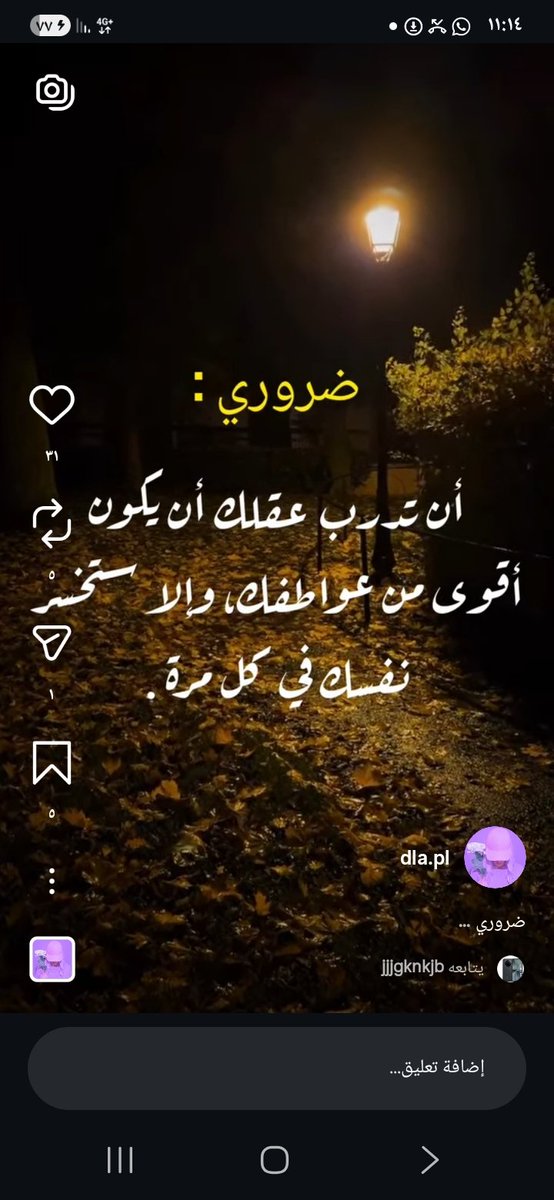 سلطان tweet media