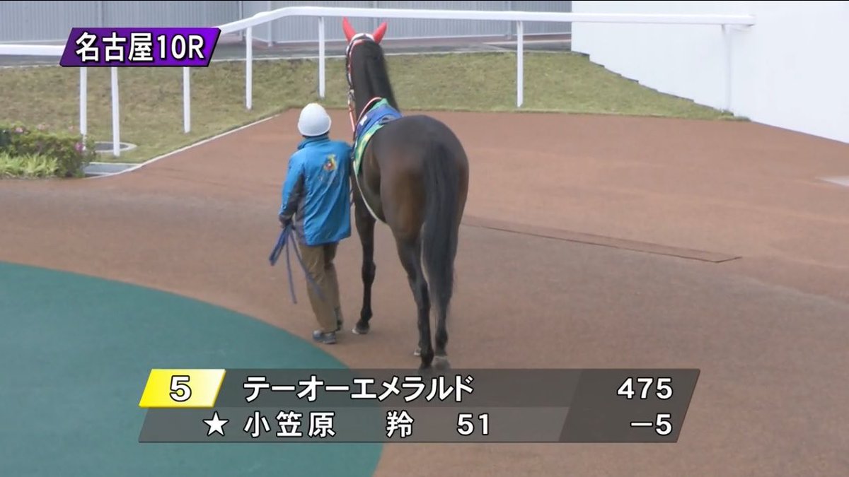 天空競馬予想Ｚ tweet media