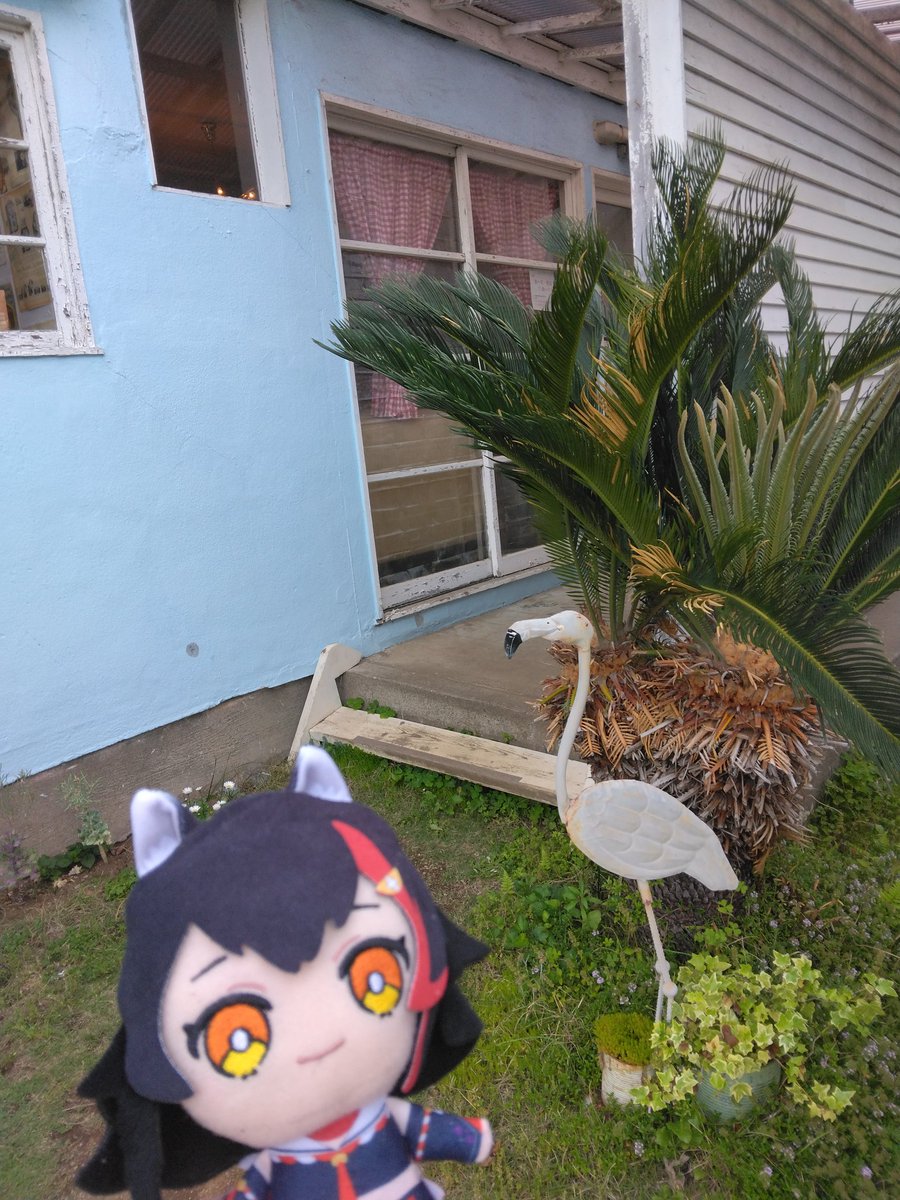 てっど🌲🍎 tweet media