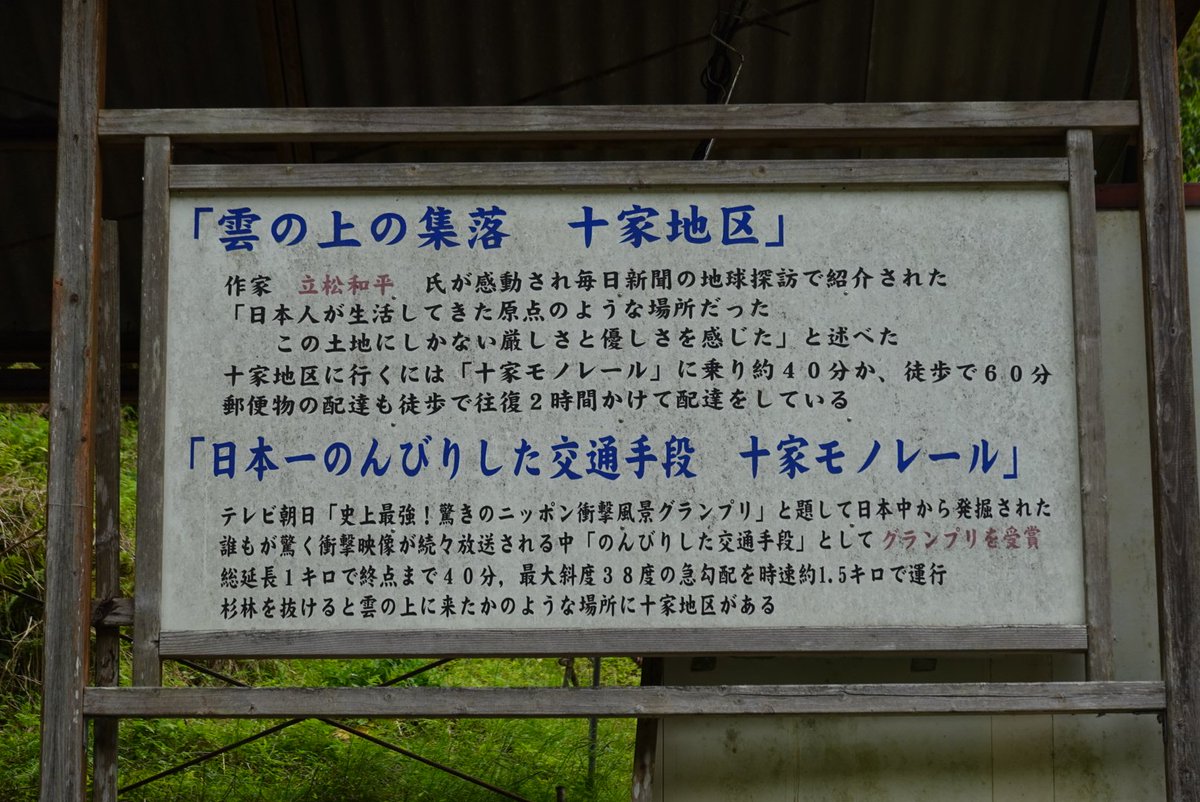 生子宿 tweet media