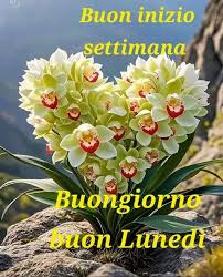 sergionebg's tweet image. Buongiorno Daila !! Buona settimana !!🙋‍♂️😊🪷
oggi  giornata del ricordo #Granata non sono un tifoso scatenato ma, ero molto piccolo quando mio padre mi porto a #Superga e quel #Torino mi è rimasto nel cuore