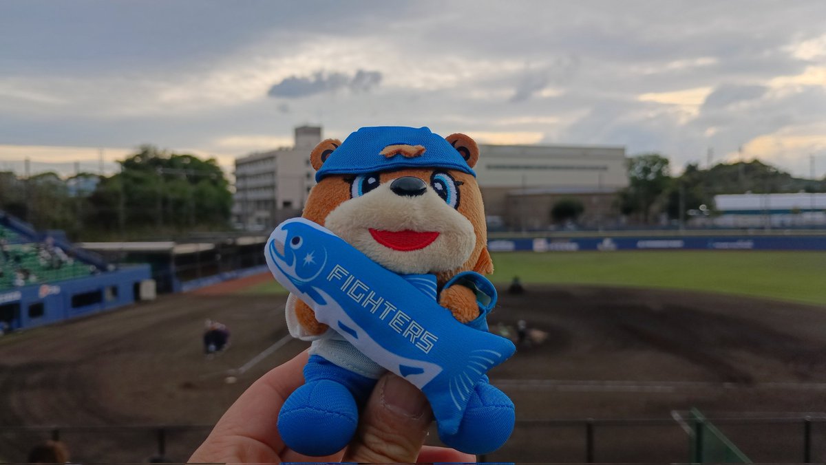 ペルイス tweet media