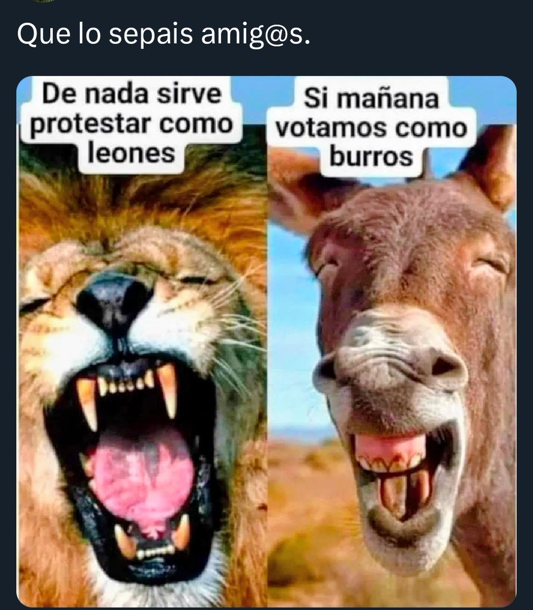 MarCamino8's tweet photo. Buenos días. Gema Igual en ésto no pinta NADA como en todo lo que  no sea fiesta, toros , flamenco y misas , porque al ser agua...es de costas https://t.co/BlNOKbfCTy