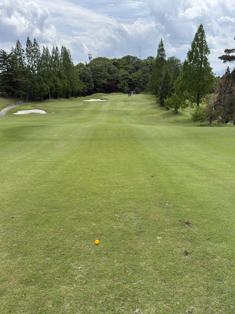 コッチ⛳️85（23）39（11）まだ更新出来ない👍️ tweet media