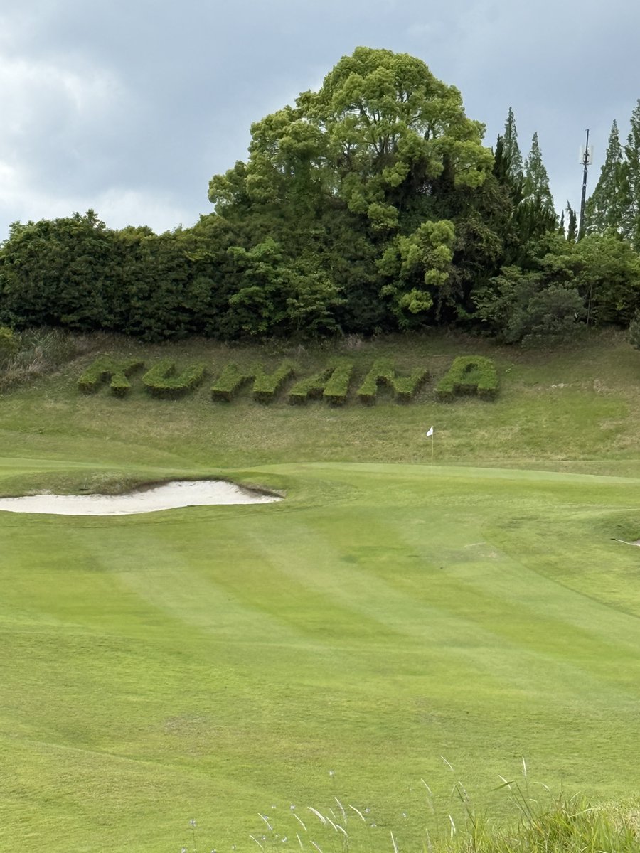 コッチ⛳️85（23）39（11）まだ更新出来ない👍️ tweet media
