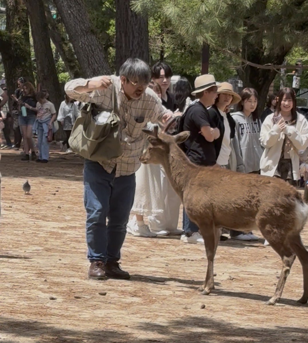 flor_enthus's tweet image. #Nara 🦌🦌

Spotted only a handful of “#Arigato” deer; most were trying to snatch food from tourists 😄