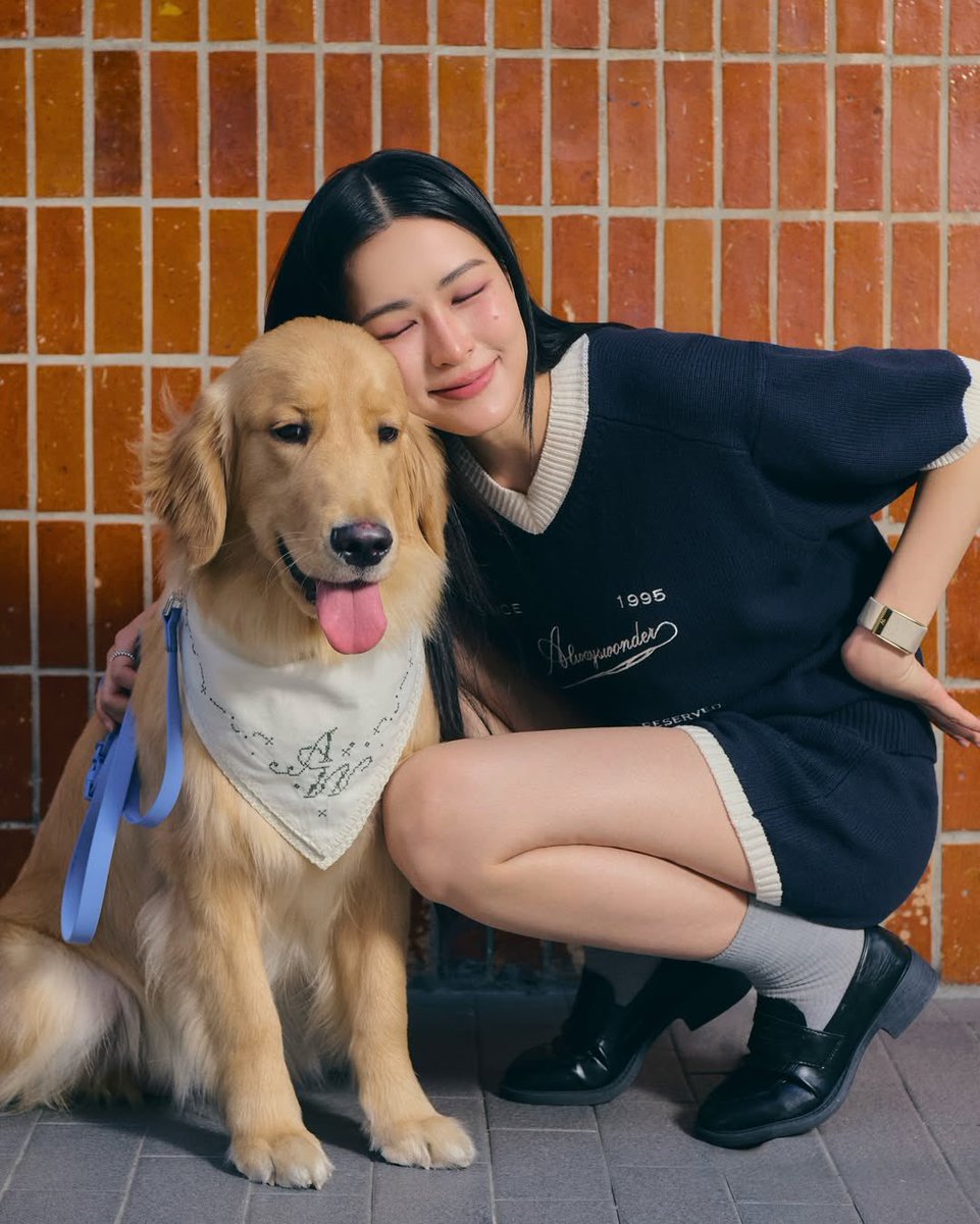 Linglingkwong_Official tweet media