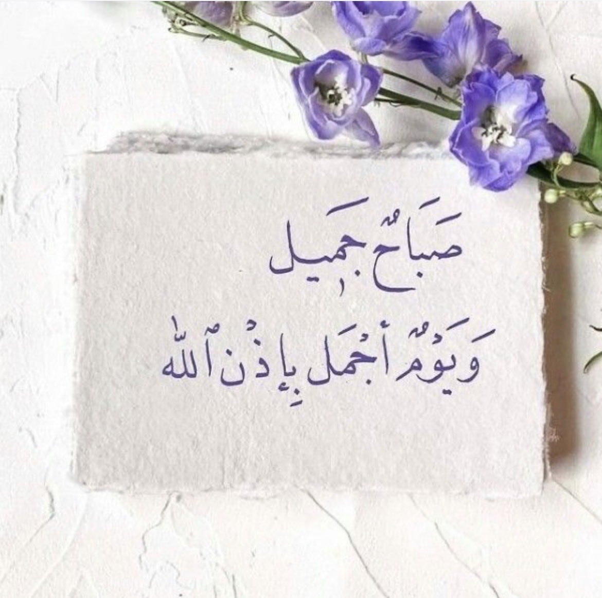 سهى 🇸🇦🕊🍃 tweet media