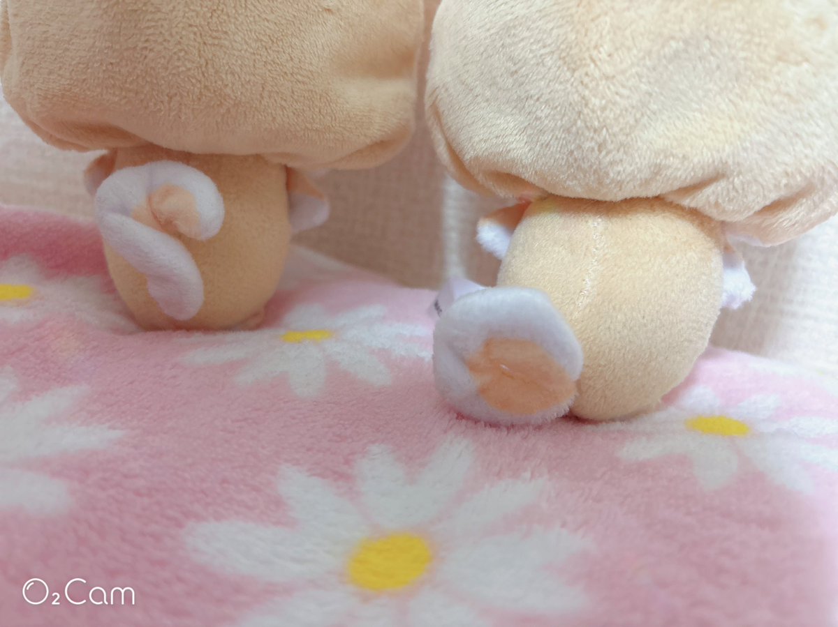 ( ㅎ.ㅎ)凛々しい眉毛( •̀ •́ ) tweet media