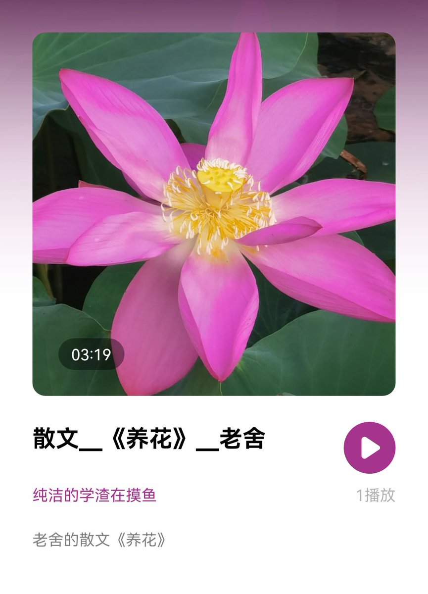 GBeauboeuf's tweet image. Tired of groggy mornings Try this 2-step fix:  ① Sleep 10 mins earlier tonight  ② Swap phone for 5-min stretching tomorrow  Small shifts = big energy boosts!   #ProductivityHacks #SleepBetter