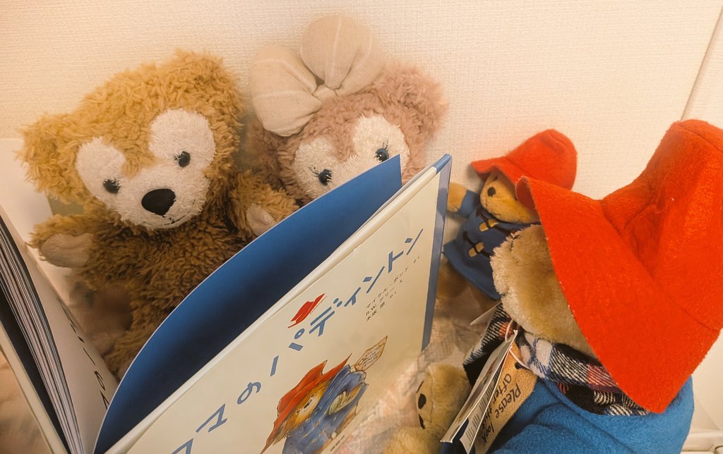 実はね、おっきいパディントンをお迎えしたの❤️🐻🎀
この子もイギリス帰り🇬🇧の子だよ🐻🎩