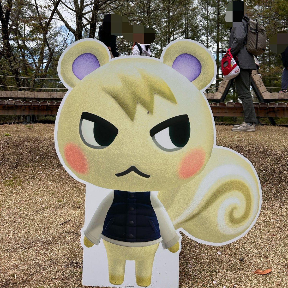 新稲ずな(にいなずな) tweet media