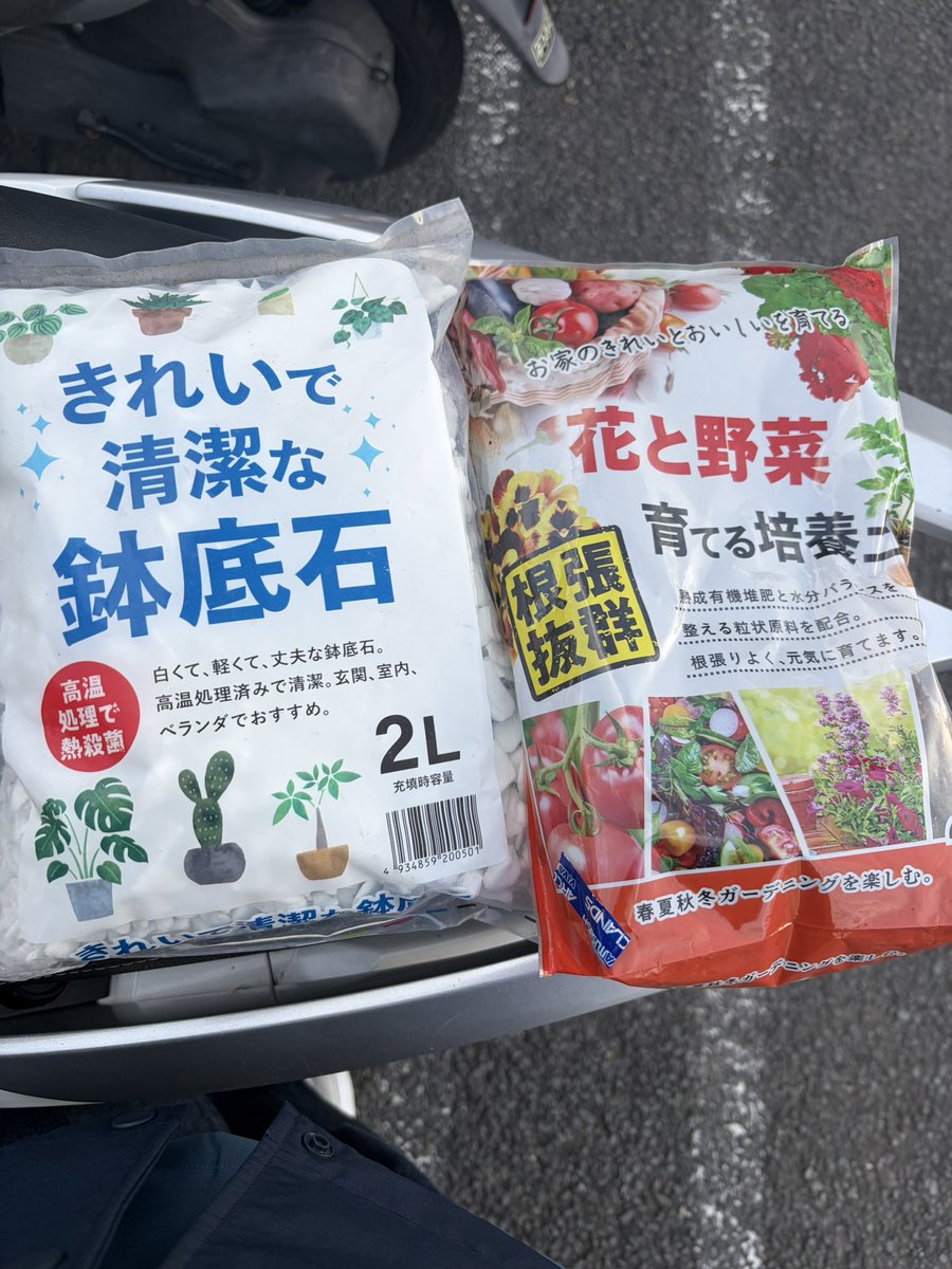 nmr272's tweet photo. 着々と🌻
あともう1つ大きめの鉢植え買おう🪴 https://t.co/fhH2OIiQln
