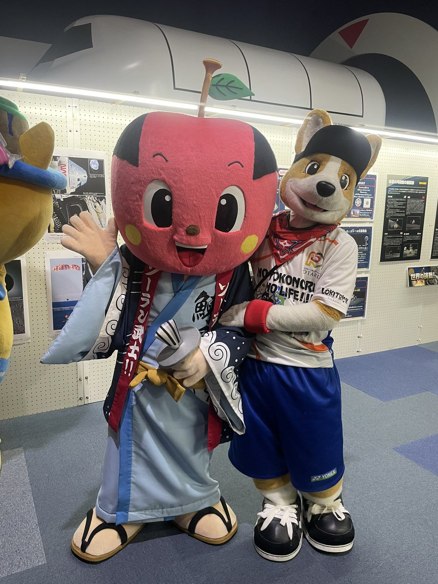 コギ坊 tweet media