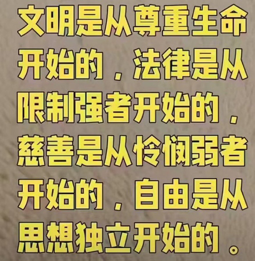 清净雪玉 tweet media