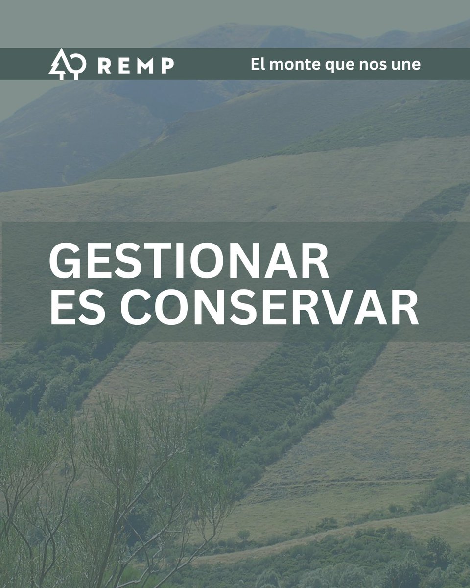 Red Estatal de Montes Públicos (REMP) tweet media