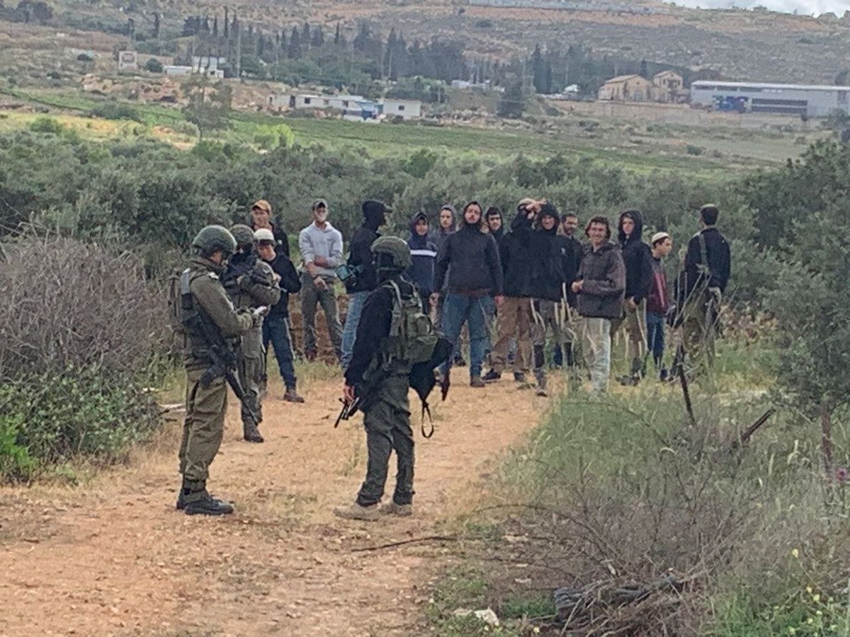 nurityohanan's tweet photo. חריש פלסטיני בתיאום בוטל הבוקר בגלל נוכחות מתנחלים: הבוקר הגיעו פלסטינים מהכפר תורמוסעיא לחריש באדמות בבעלות פרטית. בגלל שמדובר בשטח C ובקרבה להתנחלויות החריש תואם מראש עם המנהל האזרחי. אלא שמאתמול הופצה הודעה בקרב מתנחלים להגיע ולשבש. הבוקר אכן הגיעו מתנחלים והתיאום בוטל לאחר שהוצא צו שטח צבאי סגור. להבנתי ההחלטה הייתה של צה"ל (ולא של המנהל). תשובת צה"ל טרם התקבלה.