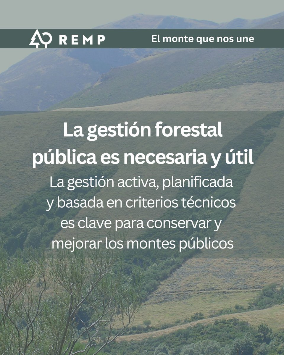 Red Estatal de Montes Públicos (REMP) tweet media