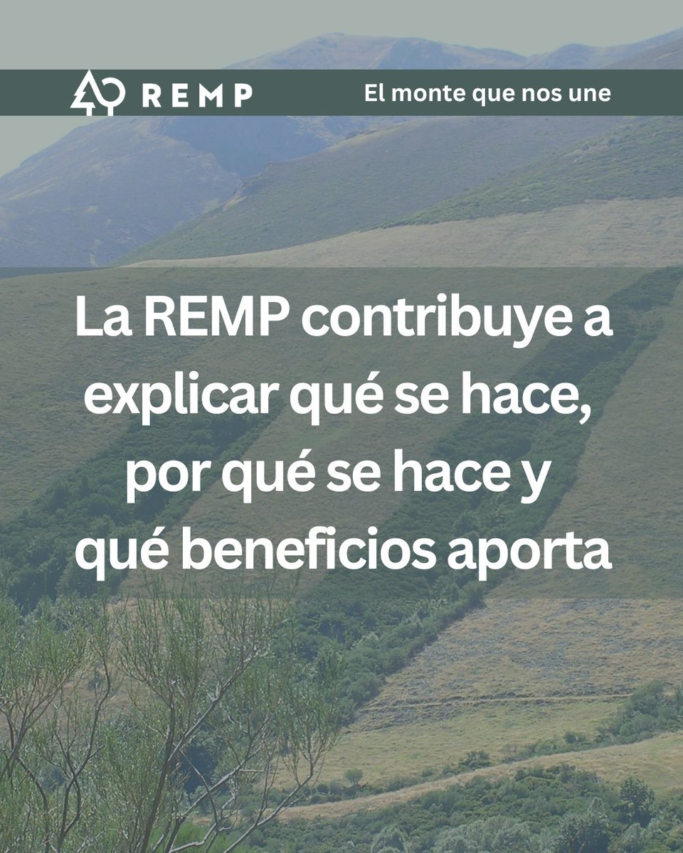 Red Estatal de Montes Públicos (REMP) tweet media