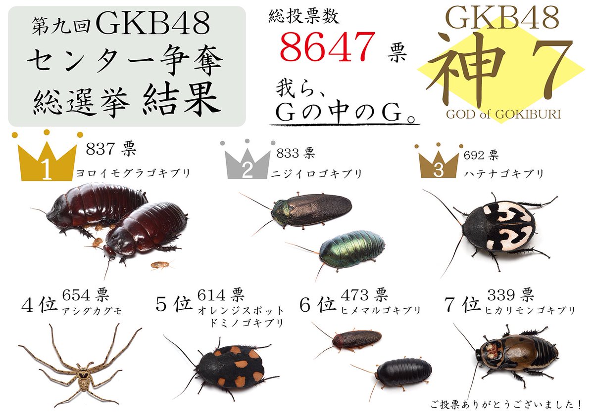 竜洋昆虫自然観察公園【公式】 tweet media