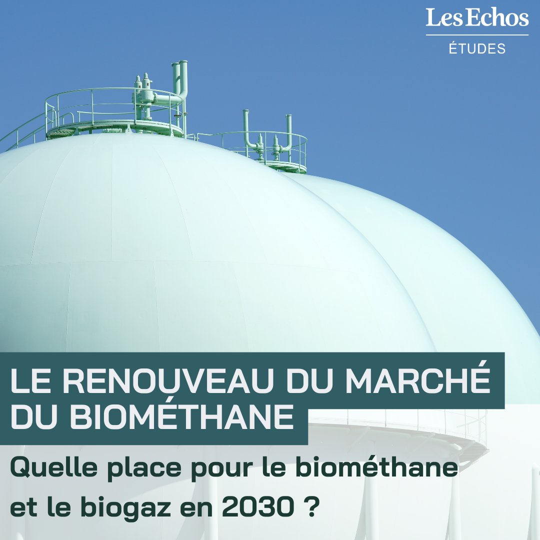 Les Echos Etudes tweet media